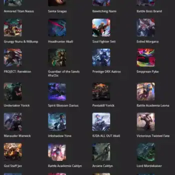 43 Skins Mail Access | LAN