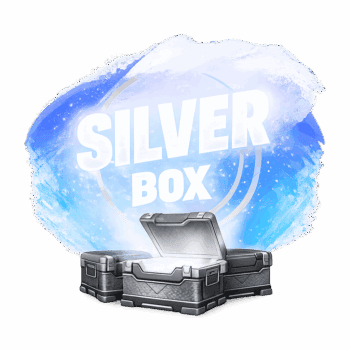 Silver Box with Fortnite account bundle for quick access.