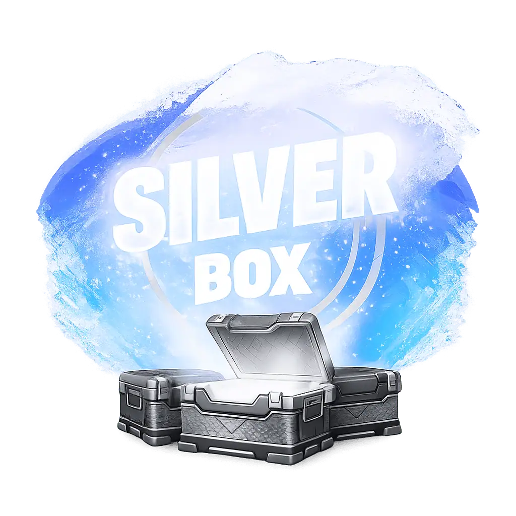 Silver Box with Fortnite account bundle for quick access.