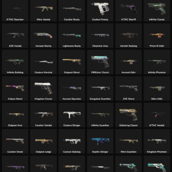 Fortnite account skins and weapon skins in inactive status for North America.
